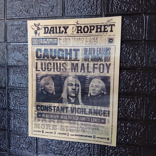 Harry Potter Animated Daily Prophet Poster